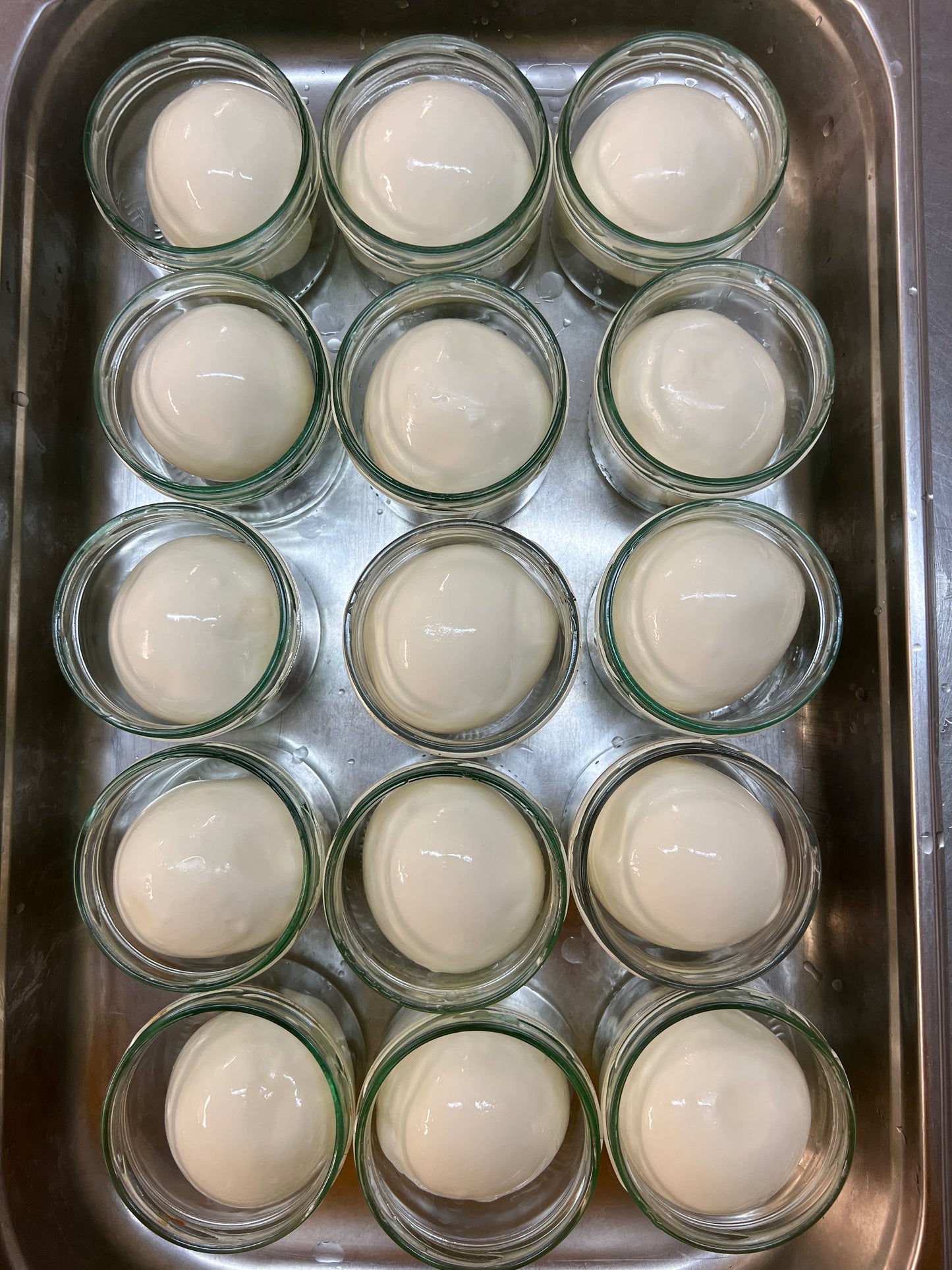 Jersey Mozzarella