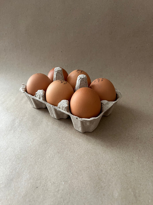 Bio-Eier | 6 Stück