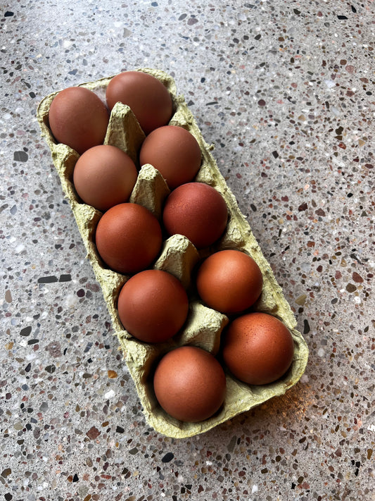 Freilandeier | 10 Stück